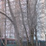Фотографии ЖК НА УЛ. ВОЗНЕСЕНСКОГО по улице Вознесенского дом 5 г. Тула. ООО Демидов плаза. ГК ВЛАДАР. Фотографии ЖК НА УЛ. ВОЗНЕСЕНСКОГО по улице Вознесенского дом 5 г. Тула. ООО Демидов плаза. ГК ВЛАДАР.